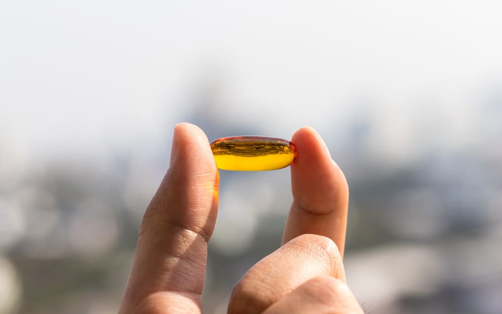 fish oil supplement